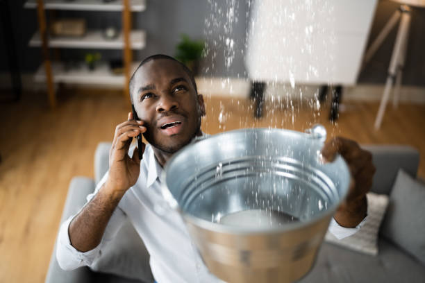 Best Local water damage restoration  in Waynesboro, PA