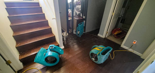 Best Fire Damage Restoration  in Waynesboro, PA